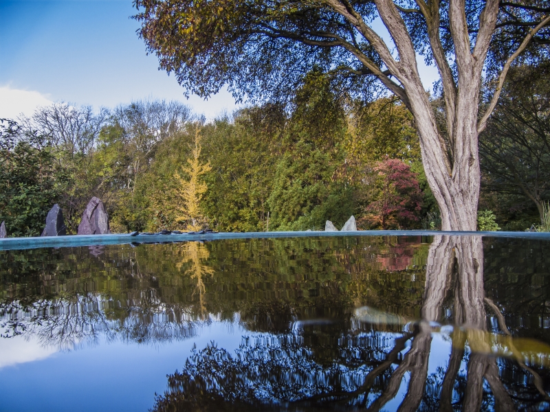 Treborth Botanic Garden, Bangor University